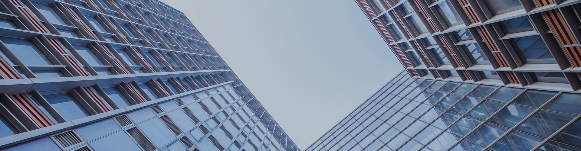 凤凰联盟·(中国区)官方网站