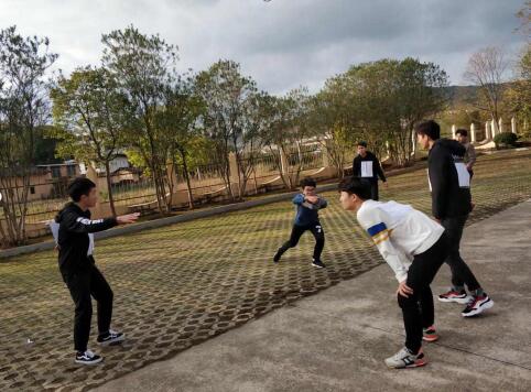 凤凰联盟·(中国区)官方网站