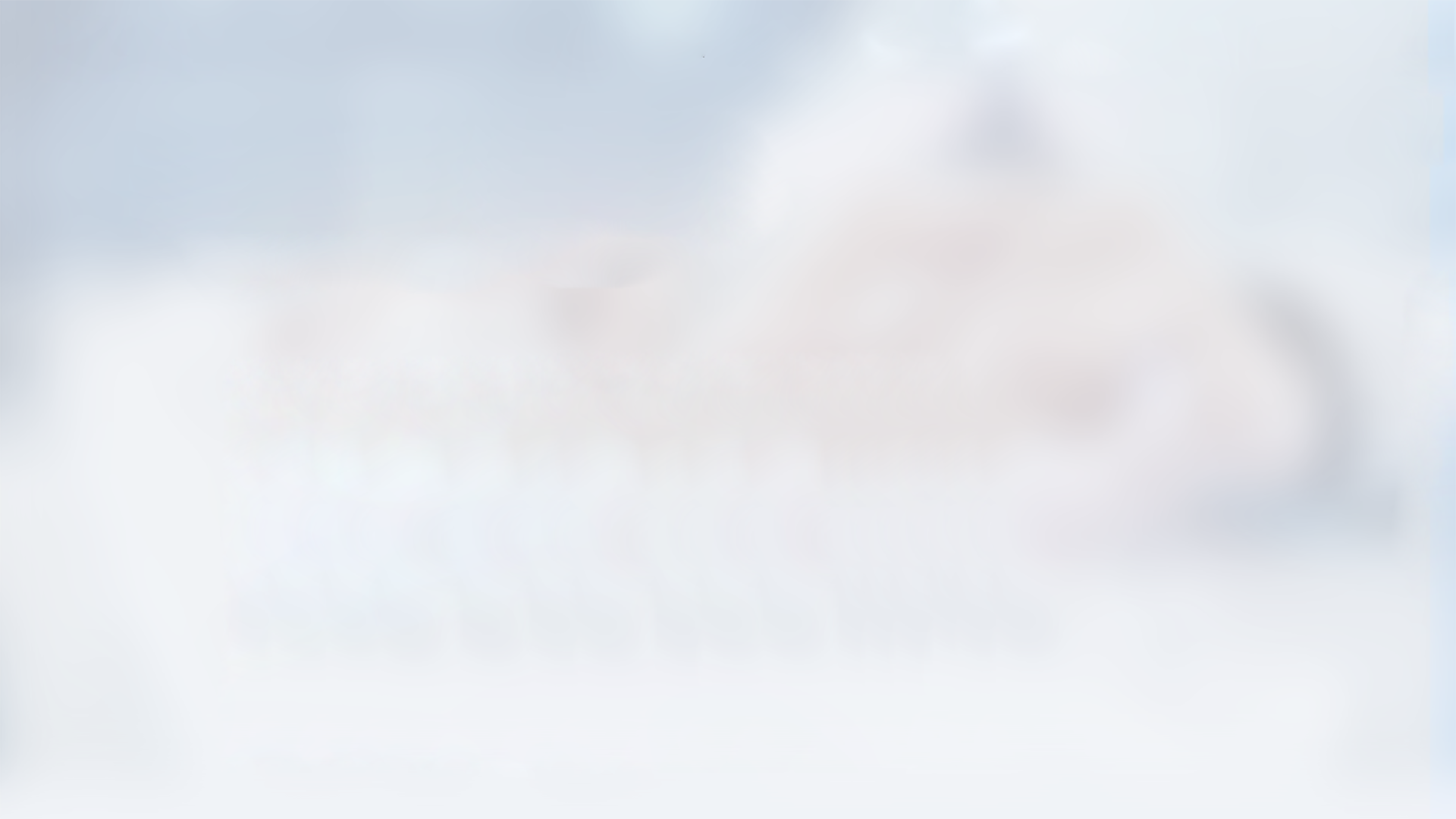 凤凰联盟·(中国区)官方网站