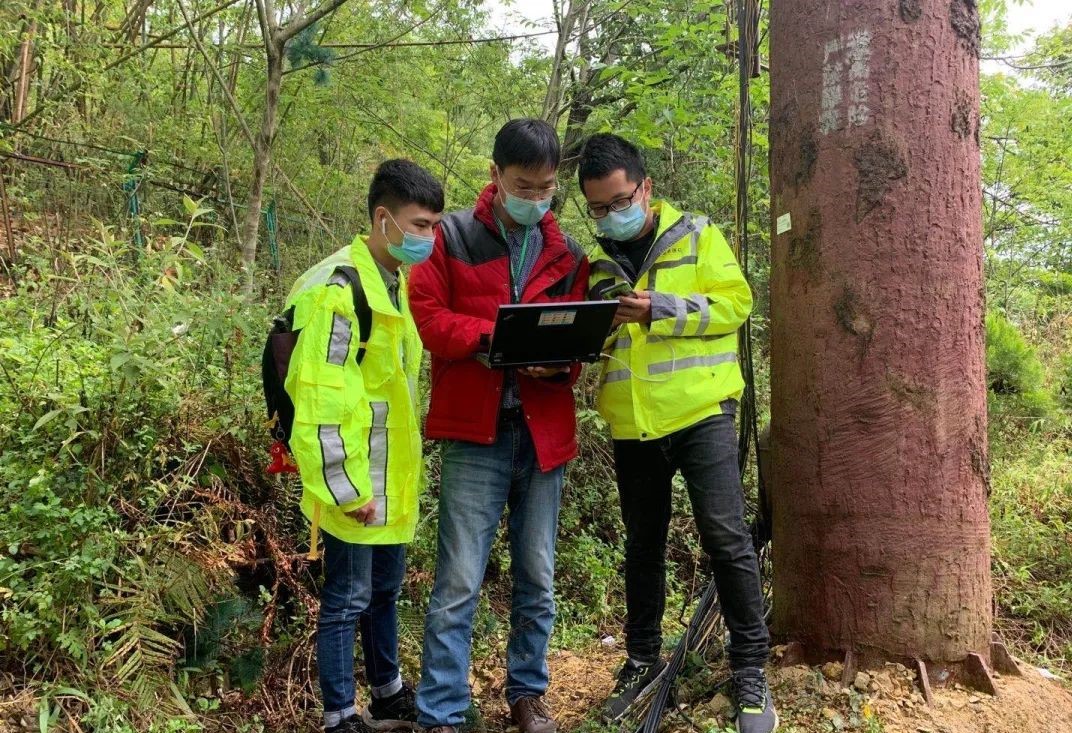 凤凰联盟·(中国区)官方网站