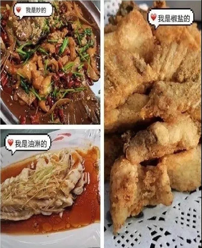 凤凰联盟·(中国区)官方网站