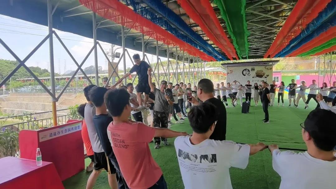 凤凰联盟·(中国区)官方网站