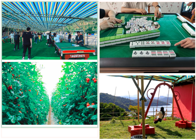 凤凰联盟·(中国区)官方网站