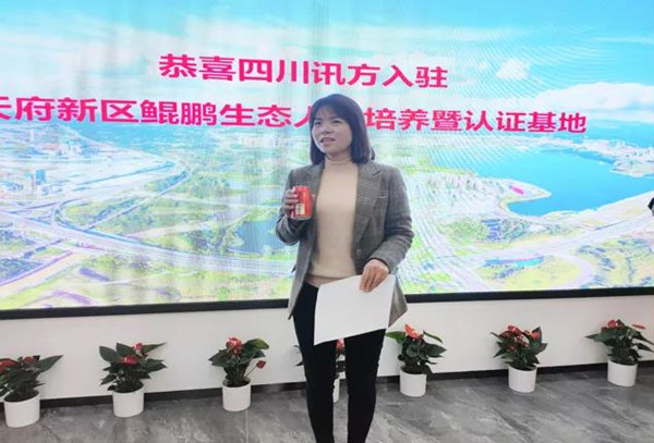 凤凰联盟·(中国区)官方网站