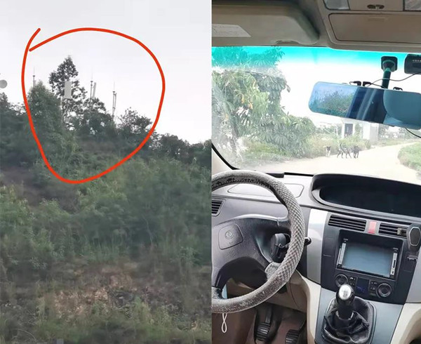 凤凰联盟工程师