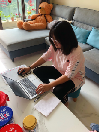 凤凰联盟解决方案部