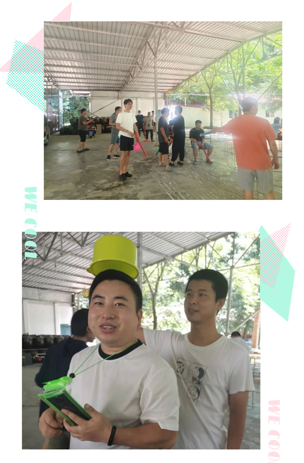 凤凰联盟手艺流程IT盘算域