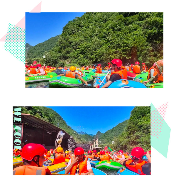 凤凰联盟手艺流程IT盘算域