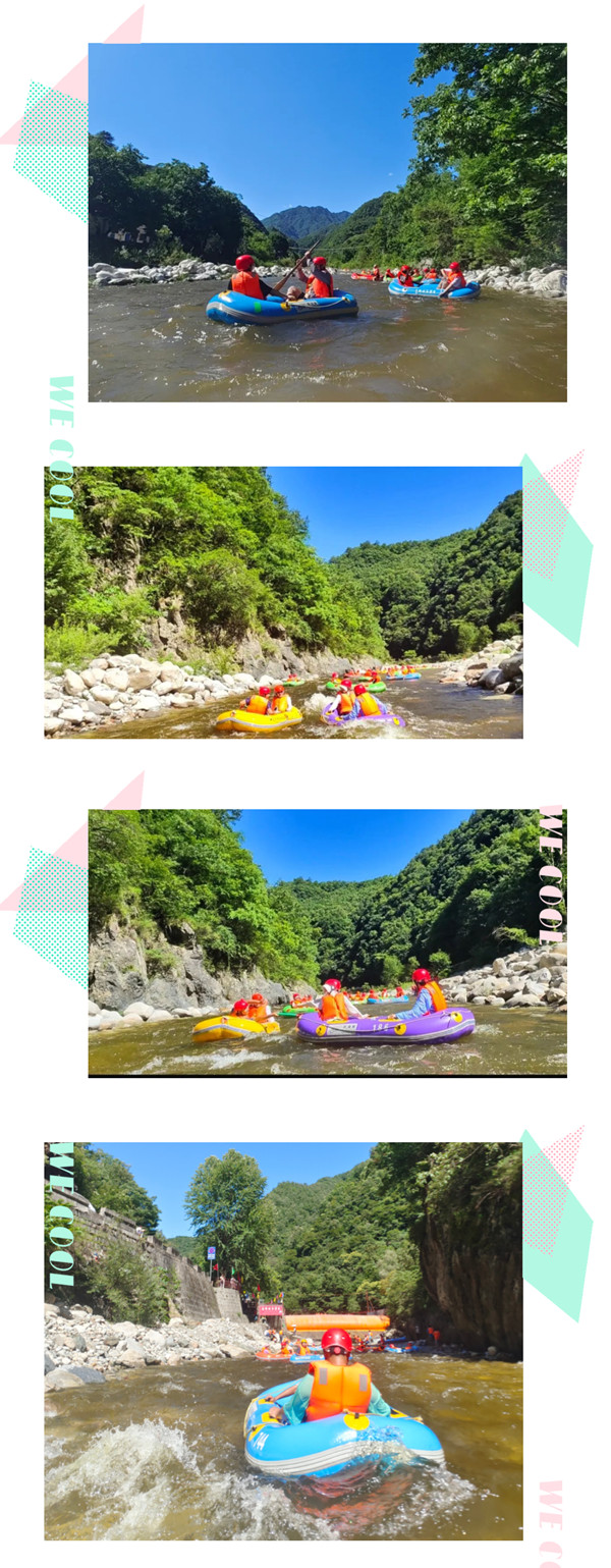 凤凰联盟手艺流程IT盘算域