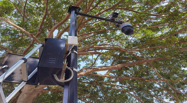 凤凰联盟·(中国区)官方网站