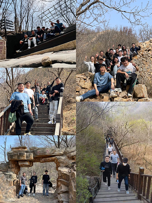 凤凰联盟·(中国区)官方网站