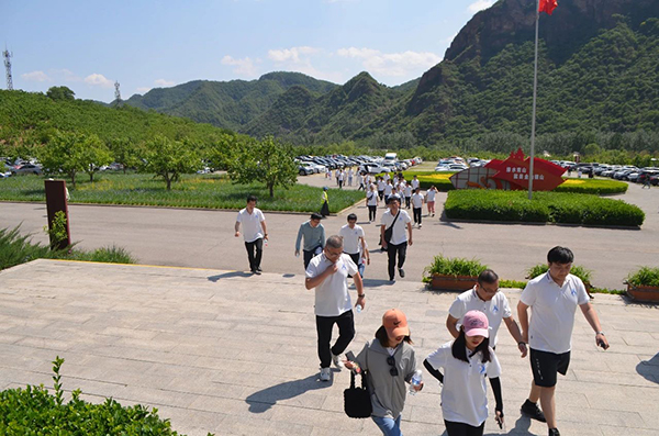 凤凰联盟·(中国区)官方网站