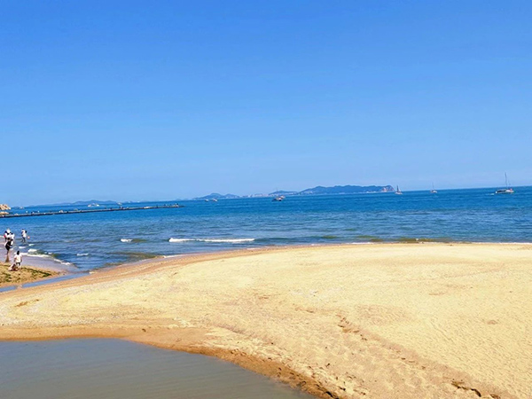 凤凰联盟·(中国区)官方网站