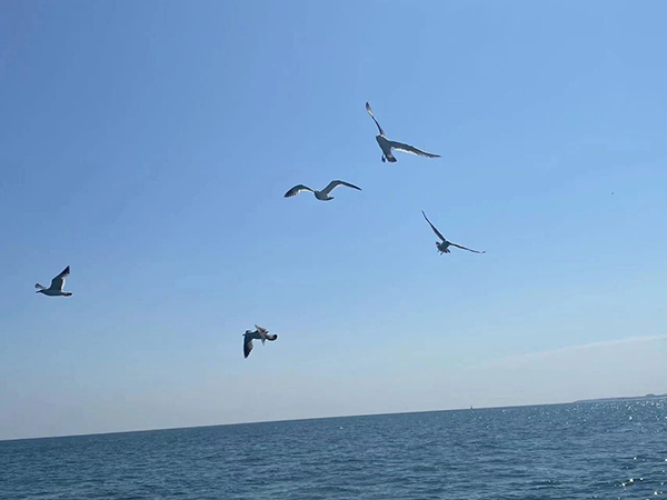 凤凰联盟·(中国区)官方网站