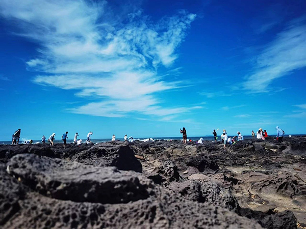 凤凰联盟·(中国区)官方网站