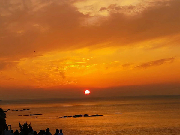 凤凰联盟·(中国区)官方网站