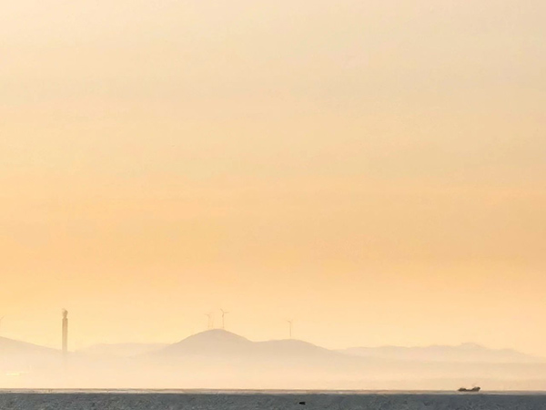 凤凰联盟·(中国区)官方网站