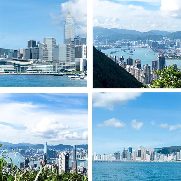 凤凰联盟·(中国区)官方网站