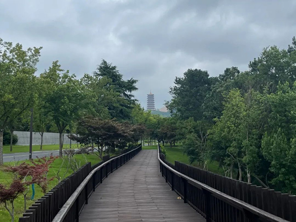 凤凰联盟·(中国区)官方网站