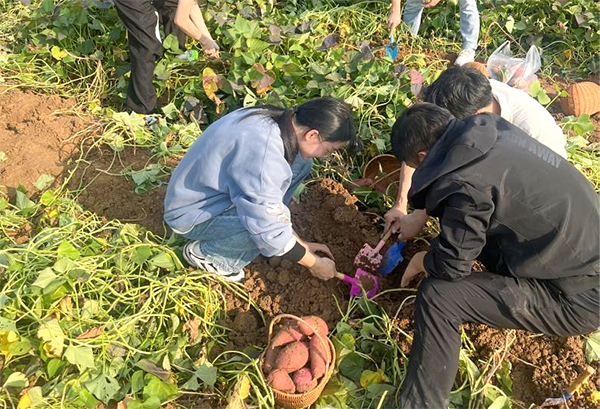 凤凰联盟·(中国区)官方网站