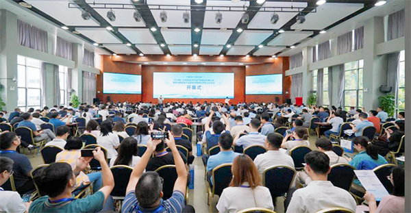 凤凰联盟·(中国区)官方网站