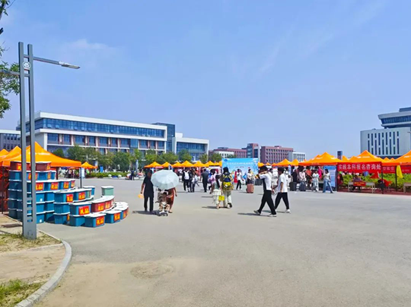 凤凰联盟·(中国区)官方网站