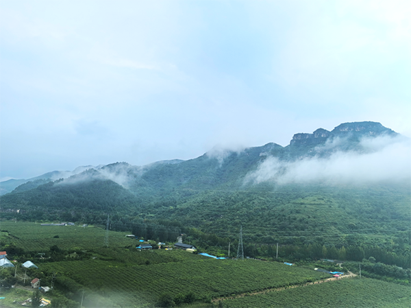 凤凰联盟·(中国区)官方网站