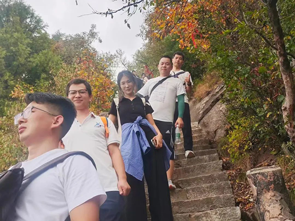 凤凰联盟·(中国区)官方网站