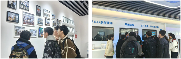 凤凰联盟·(中国区)官方网站