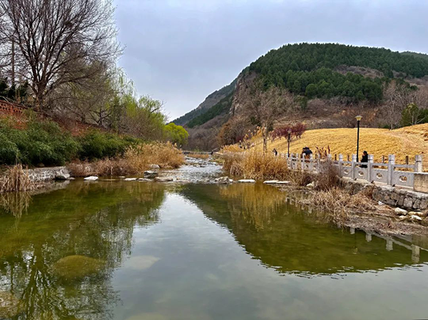 凤凰联盟·(中国区)官方网站