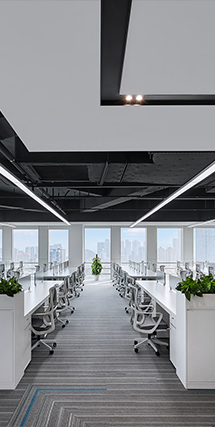 凤凰联盟·(中国区)官方网站