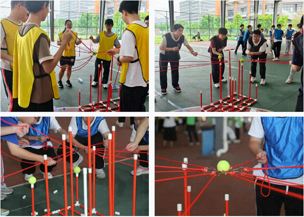 凤凰联盟·(中国区)官方网站